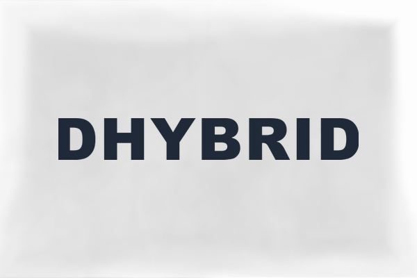 DHYBRID logo