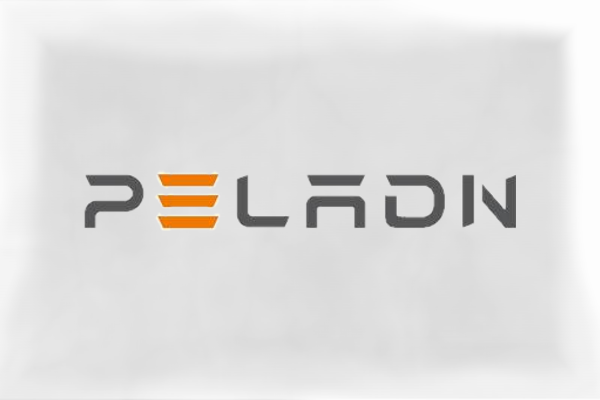 Peladn logo