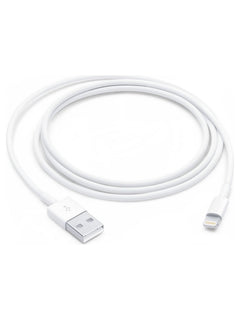 Apple Lightning to USB Cable - 1 m