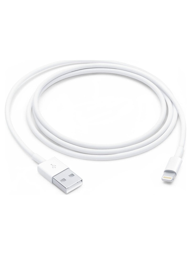 Apple Lightning to USB Cable - 1 m