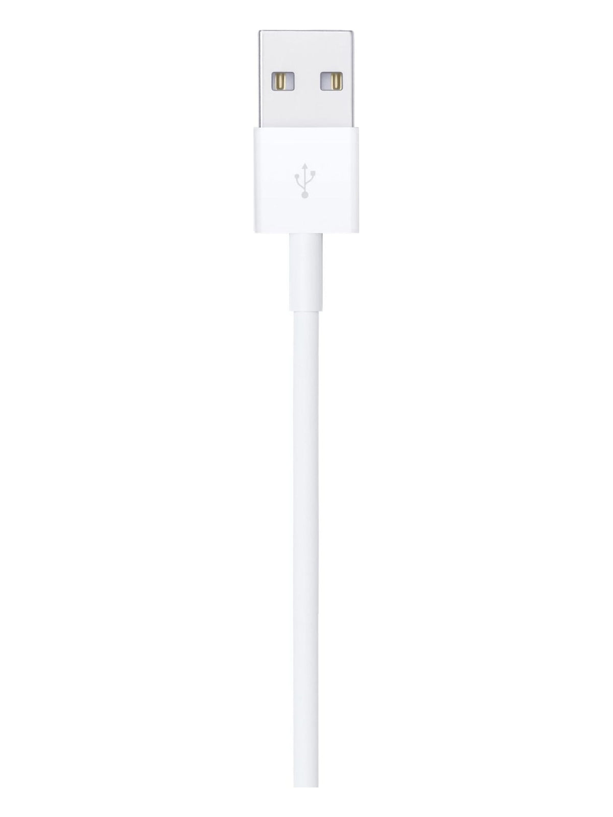 Apple Lightning to USB Cable - 2 m - view 6