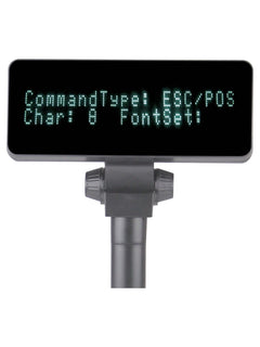 AppoStars AP-210CE VFD Customer Display with Pole - view 2