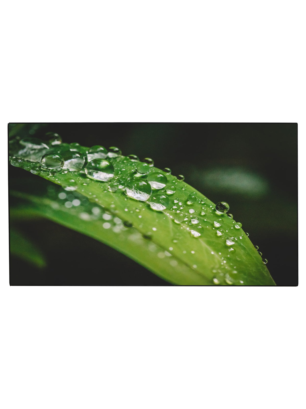 Dahua 46" Full HD Video Wall Display, 1.7mm Ultra-Narrow Bezel, 500 nits, 24/7