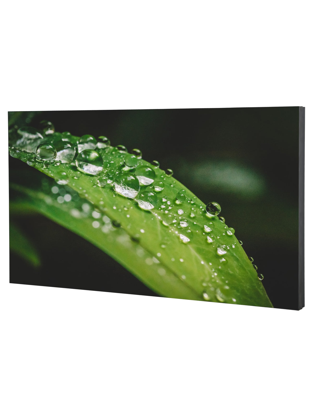Dahua 55" Full HD Video Wall Display, Ultra-Narrow Bezel, 500 nits, 24/7 - view 2
