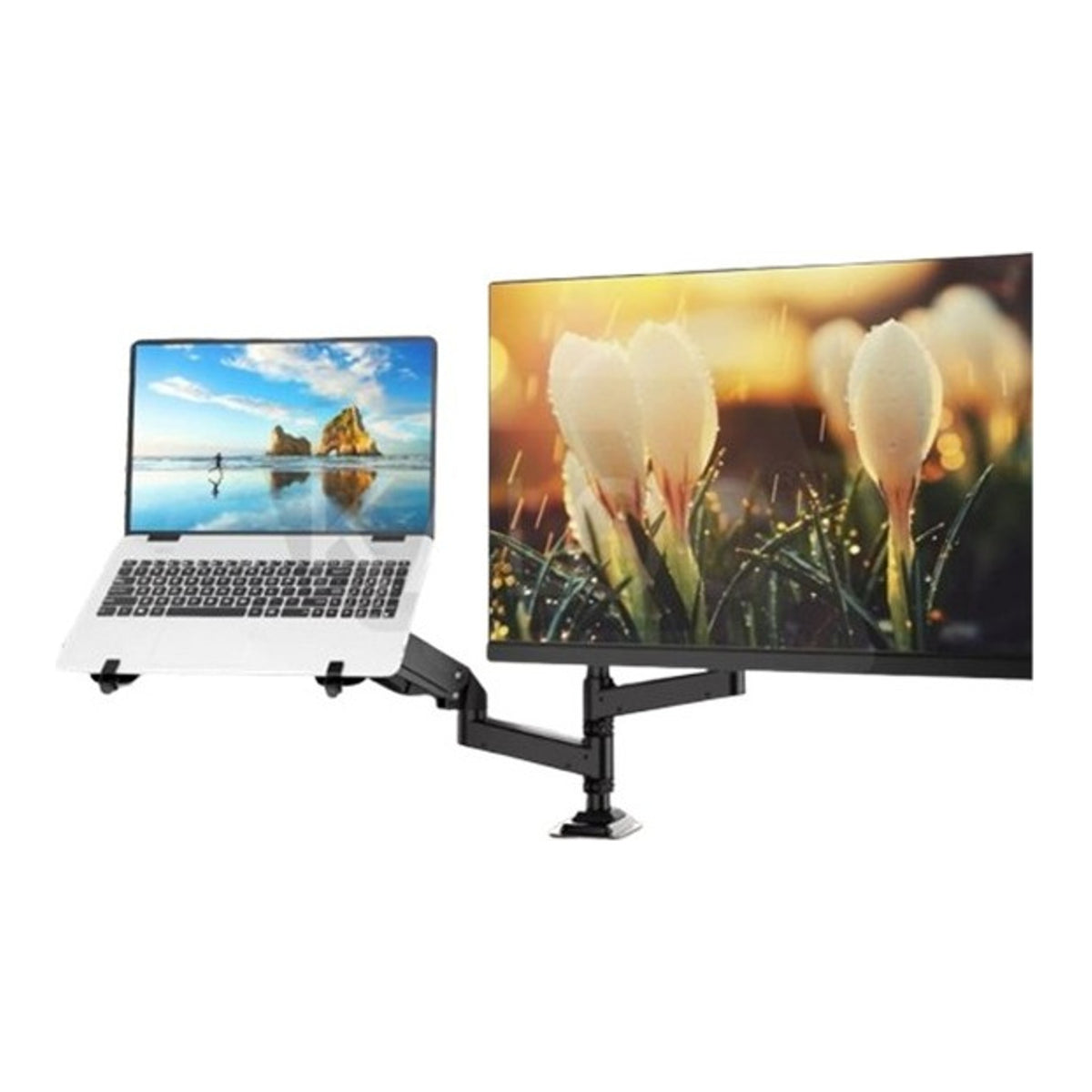 KALOC DH200 H2 STUDIO PRO Dual Monitor & Laptop Arm