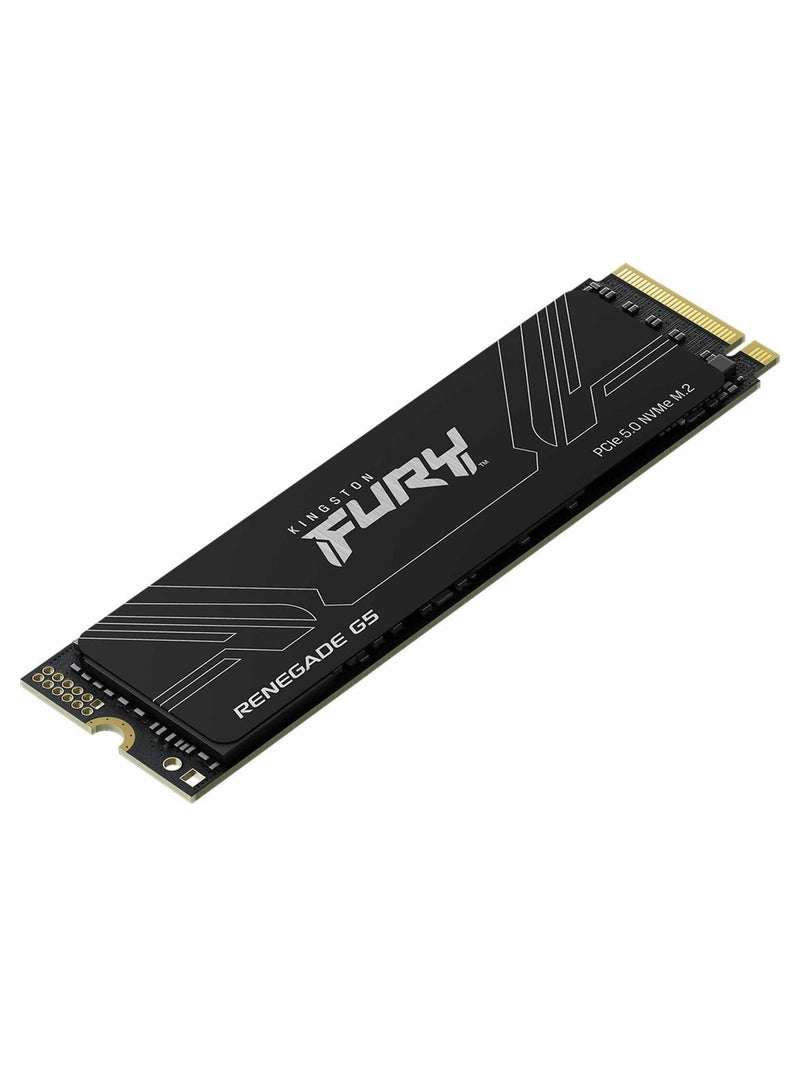 Kingston FURY Renegade G5 4TB PCIe 5.0 NVMe M.2 SSD